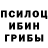 Псилоцибиновые грибы GOLDEN TEACHER YREZ06 BG