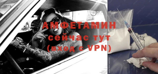 прущие грибы Михайловск