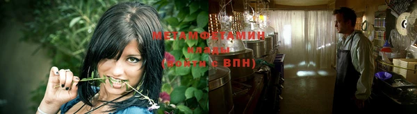 прущие грибы Михайловск