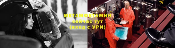 прущие грибы Михайловка
