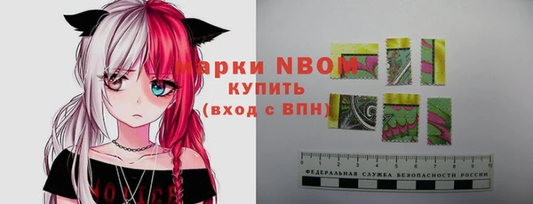 прущие грибы Михайловск
