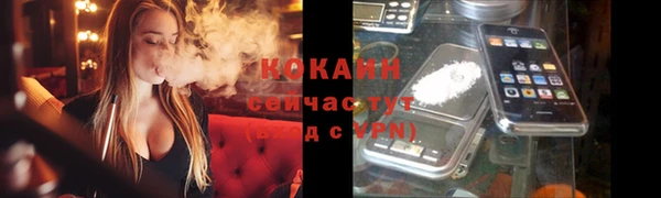прущие грибы Михайловск