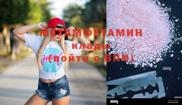 прущие грибы Михайловка