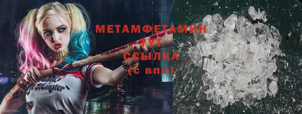 прущие грибы Михайловск