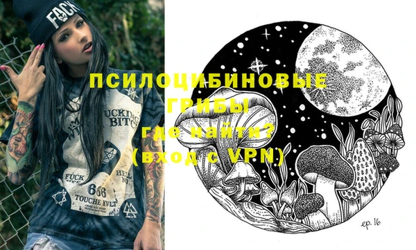 mdpv Бердск