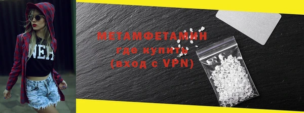 прущие грибы Михайловск