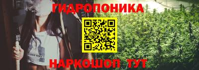 гидра Волжский