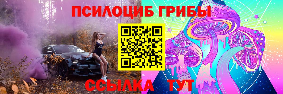 Галлюциногенные грибы GOLDEN TEACHER Дзержинск