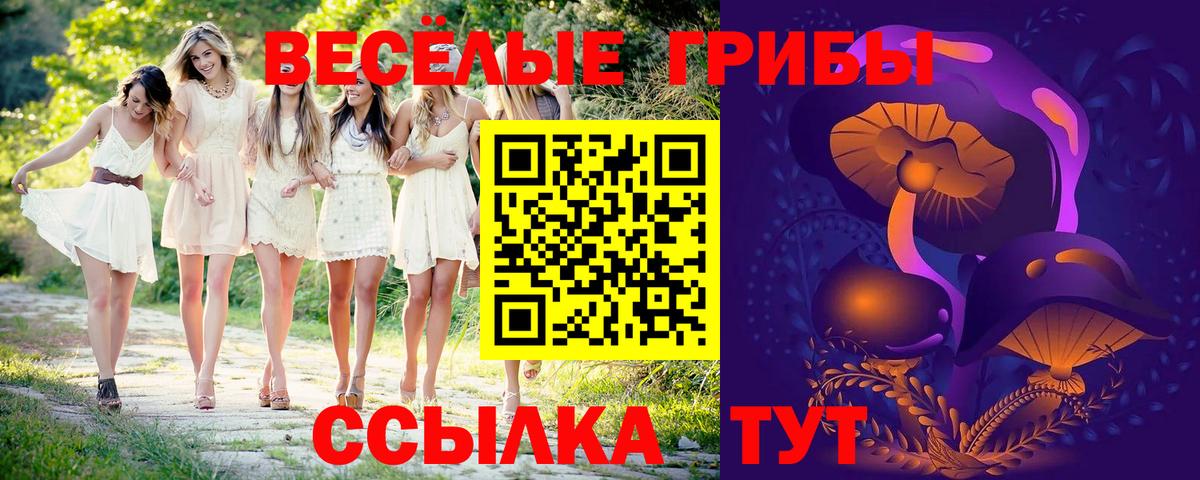 Псилоцибиновые грибы мухоморы  Вход с VPN  Псилоцибиновые грибы мухоморы  Дзержинск 