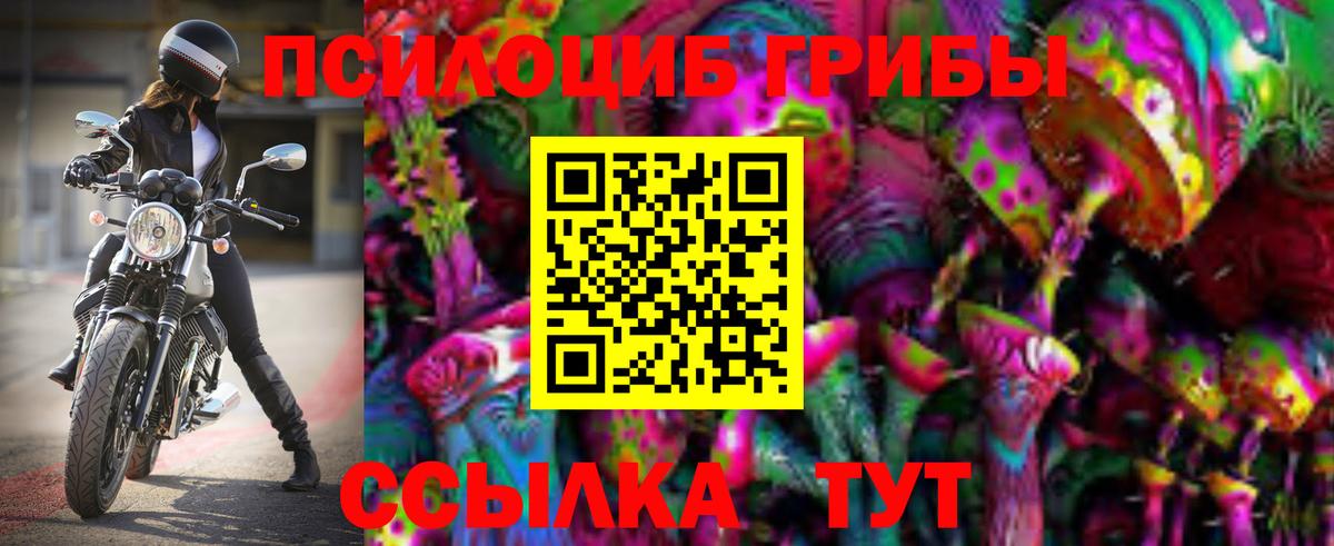 Галлюциногенные грибы GOLDEN TEACHER Дзержинск